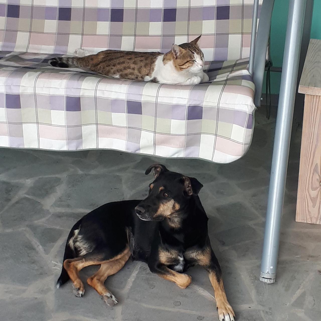 Bed & Breakfast 3 Gs Goght' Dış mekan fotoğraf